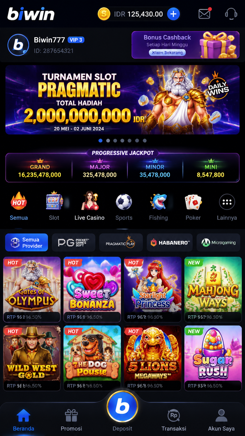 Screenshot 1 biwin